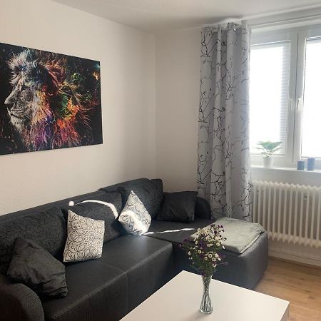 Grosse Moderne Ferienwohnung, Zentrale Ruhige Lage Kassel Exterior photo