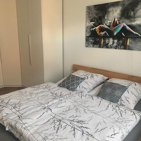 Grosse Moderne Ferienwohnung, Zentrale Ruhige Lage Kassel Exterior photo